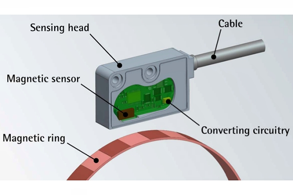 环形编码器的两个主要组件是包含磁性或光学标尺的环和扫描头